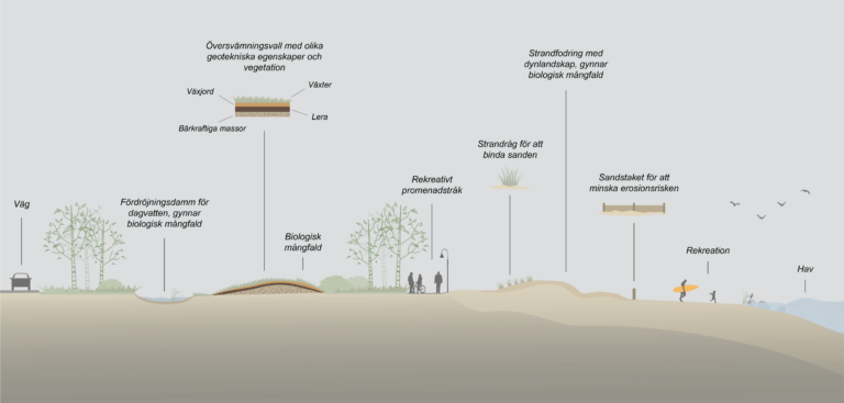 Innovativa lösningar för kustskydd testas. Illustration framtagen av Moa Landén, Trelleborgs kommun.